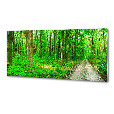 Panneau crédence cuisine Arbres dans la forêt
