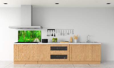 Panneau crédence cuisine Arbres dans la forêt