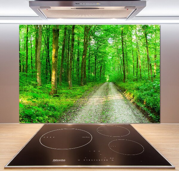 Panneau crédence cuisine Arbres dans la forêt