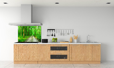 Panneau crédence cuisine Arbres dans la forêt