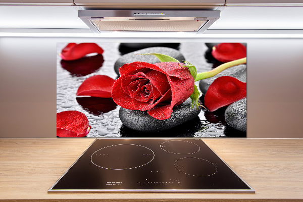 Panneau crédence cuisine Rose rouge