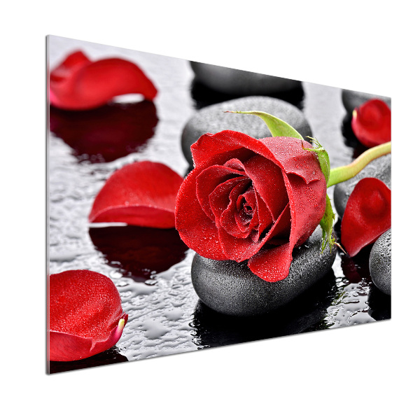 Panneau crédence cuisine Rose rouge