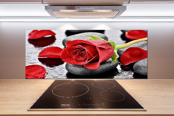 Panneau crédence cuisine Rose rouge