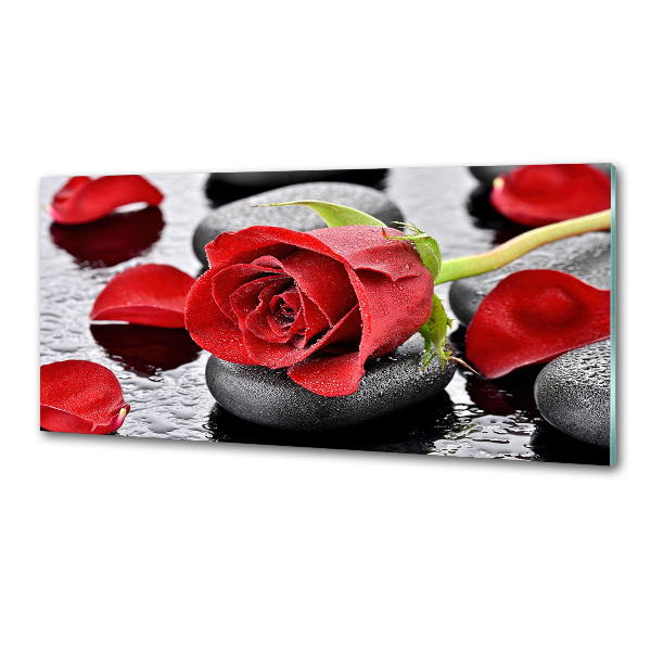 Panneau crédence cuisine Rose rouge