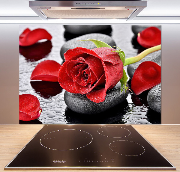 Panneau crédence cuisine Rose rouge