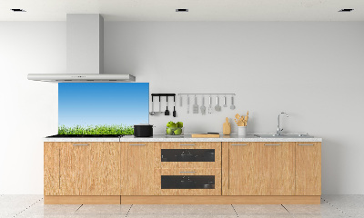 Panneau crédence cuisine Herbe