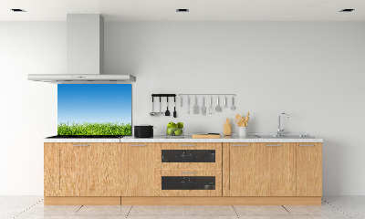 Panneau crédence cuisine Herbe