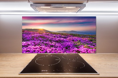 Panneau pour cuisine Fleurs en montagne