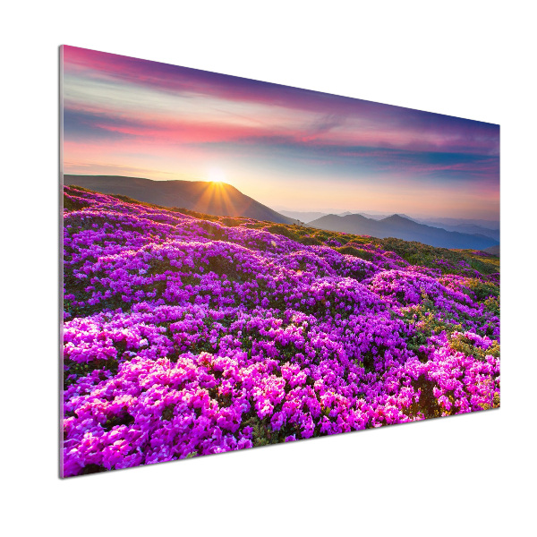 Panneau pour cuisine Fleurs en montagne