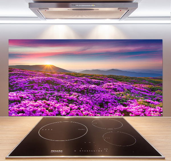 Panneau pour cuisine Fleurs en montagne