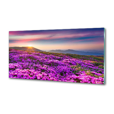 Panneau pour cuisine Fleurs en montagne