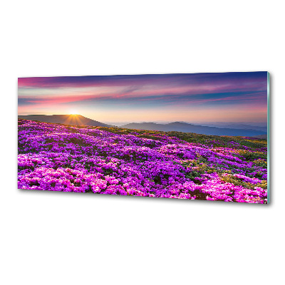 Panneau pour cuisine Fleurs en montagne