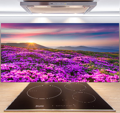 Panneau pour cuisine Fleurs en montagne