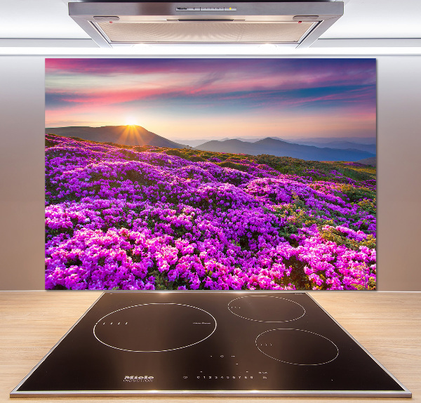 Panneau pour cuisine Fleurs en montagne