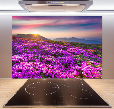 Panneau pour cuisine Fleurs en montagne