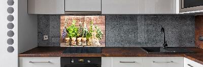 Panneau pour cuisine Herbes sur une ficelle