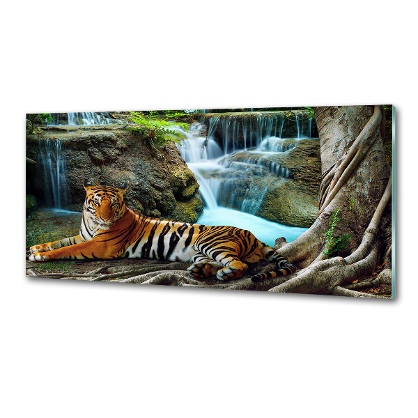 Panneau crédence cuisine Tigre dans une cascade