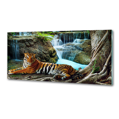 Panneau crédence cuisine Tigre dans une cascade