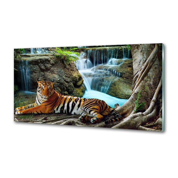 Panneau crédence cuisine Tigre dans une cascade