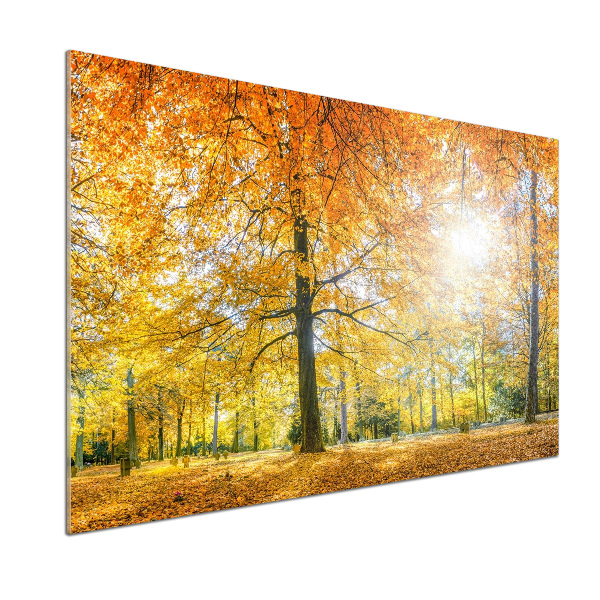 Verre pour crédence Forêt d'automne