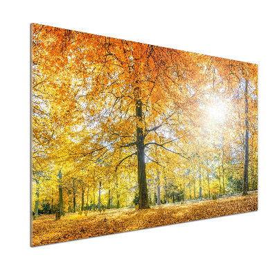 Verre pour crédence Forêt d'automne