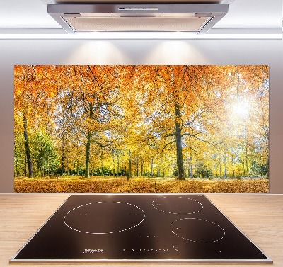 Verre pour crédence Forêt d'automne