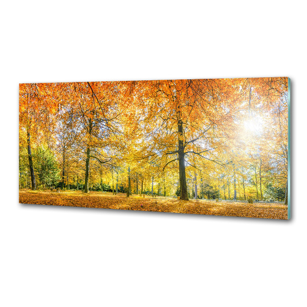 Verre pour crédence Forêt d'automne