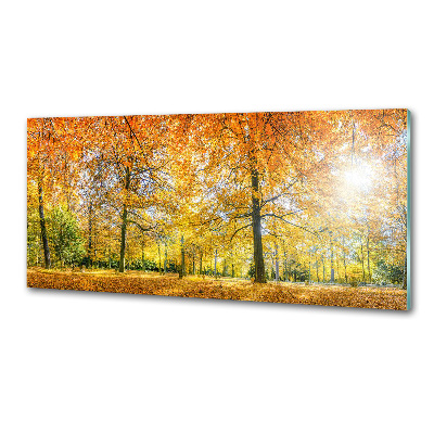 Verre pour crédence Forêt d'automne