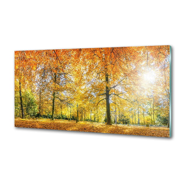 Verre pour crédence Forêt d'automne