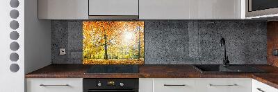Verre pour crédence Forêt d'automne