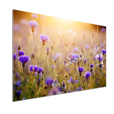 Crédence en verre avec motif Fleurs des champs