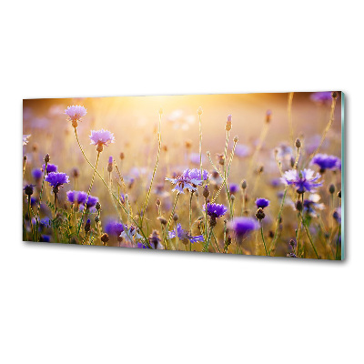 Crédence en verre avec motif Fleurs des champs