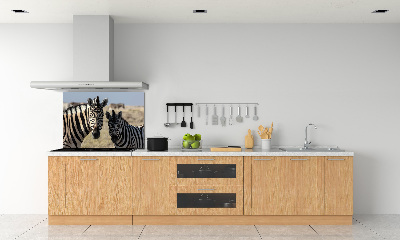 Crédence cuisine en verre Deux zèbres