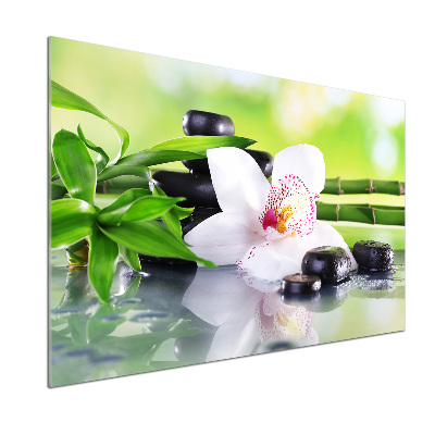 Crédence cuisine en verre Orchidée