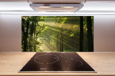 Verre pour crédence Forêt au soleil