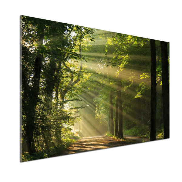 Verre pour crédence Forêt au soleil