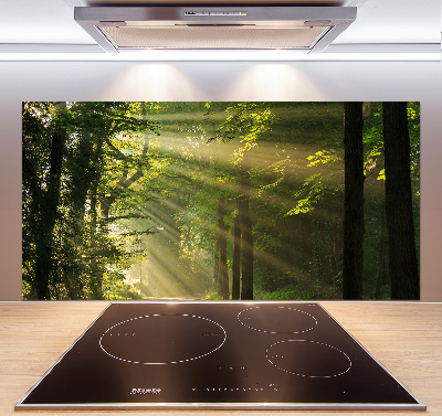 Verre pour crédence Forêt au soleil