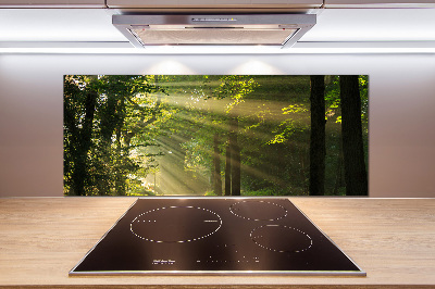 Verre pour crédence Forêt au soleil