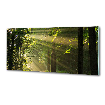 Verre pour crédence Forêt au soleil