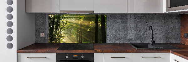Verre pour crédence Forêt au soleil