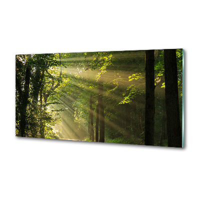 Verre pour crédence Forêt au soleil