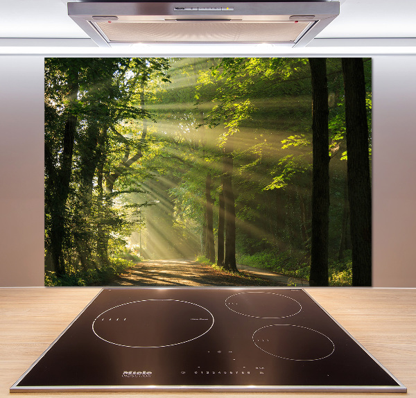 Verre pour crédence Forêt au soleil