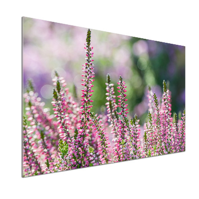 Crédence cuisine en verre trempé Fleurs de bruyère