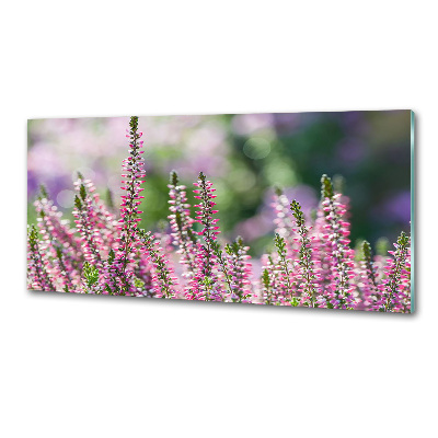 Crédence cuisine en verre trempé Fleurs de bruyère