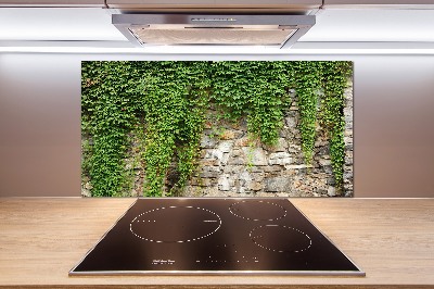 Panneau crédence cuisine Lierre vert