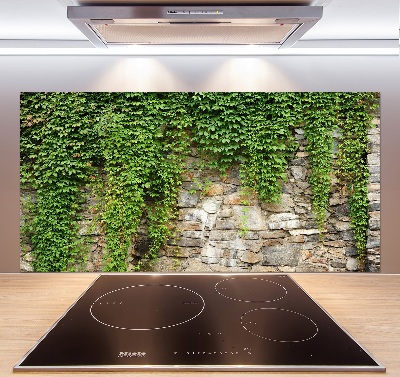 Panneau crédence cuisine Lierre vert