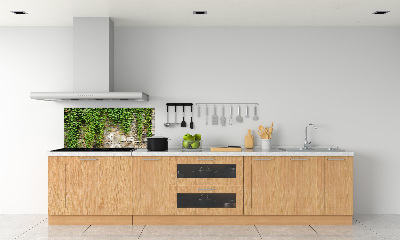 Panneau crédence cuisine Lierre vert