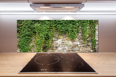 Panneau crédence cuisine Lierre vert