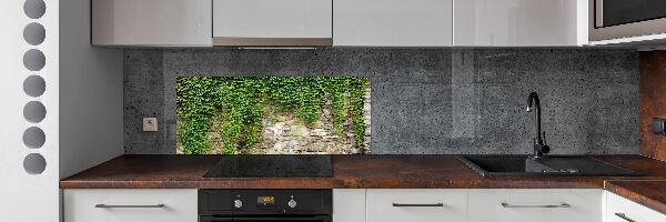 Panneau crédence cuisine Lierre vert