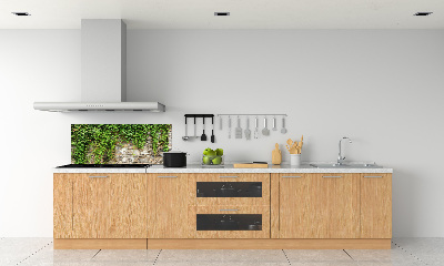 Panneau crédence cuisine Lierre vert